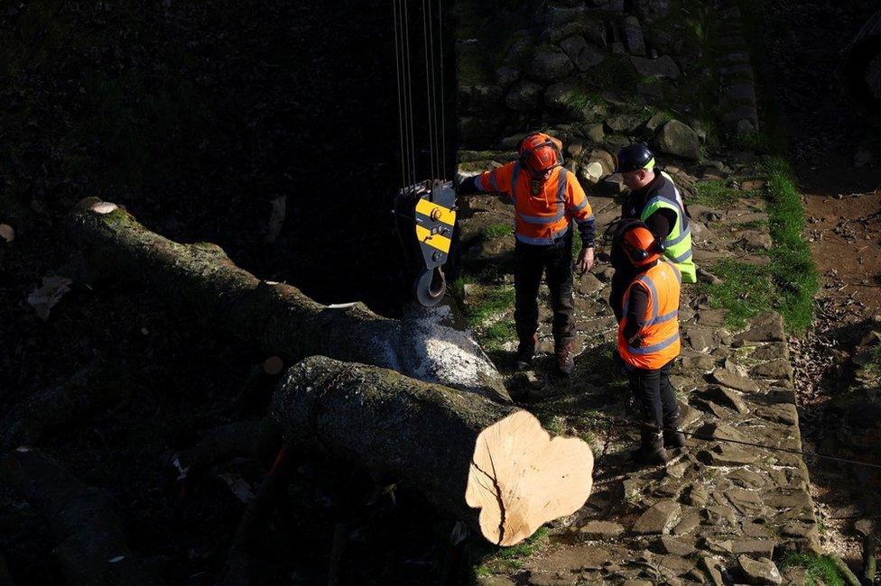 Workers stand near a log, as sections of the Sycamore Gap tree, that was felled by a vandal last month, are removed from the area by crane in Northumberland