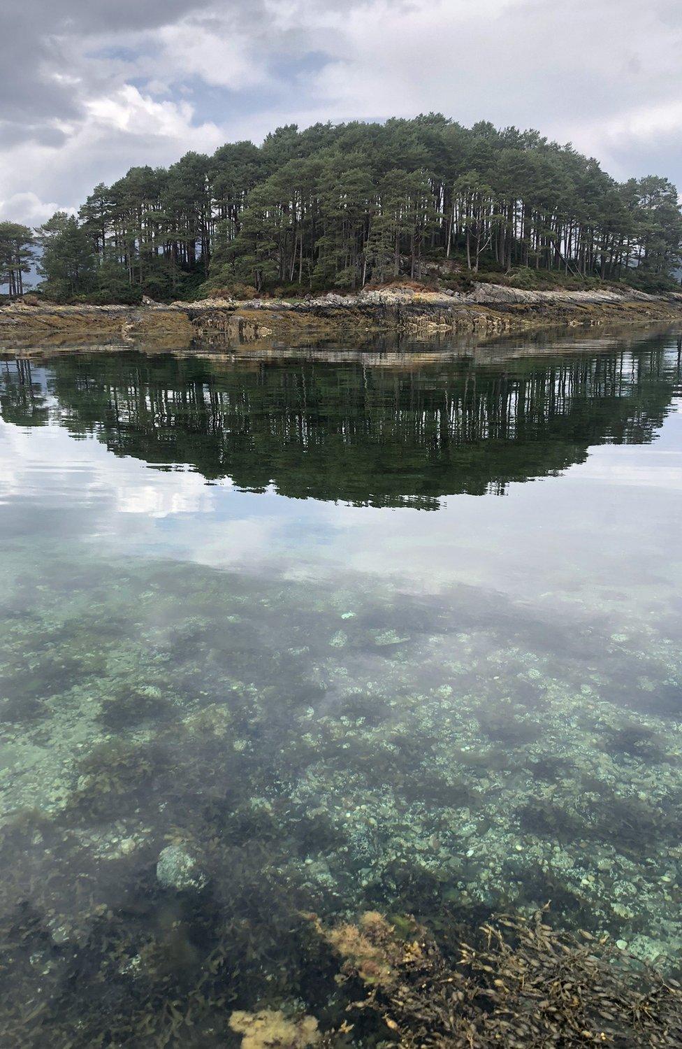 In the background, a small island covered in dark green trees and in the foreground, pale, clear water