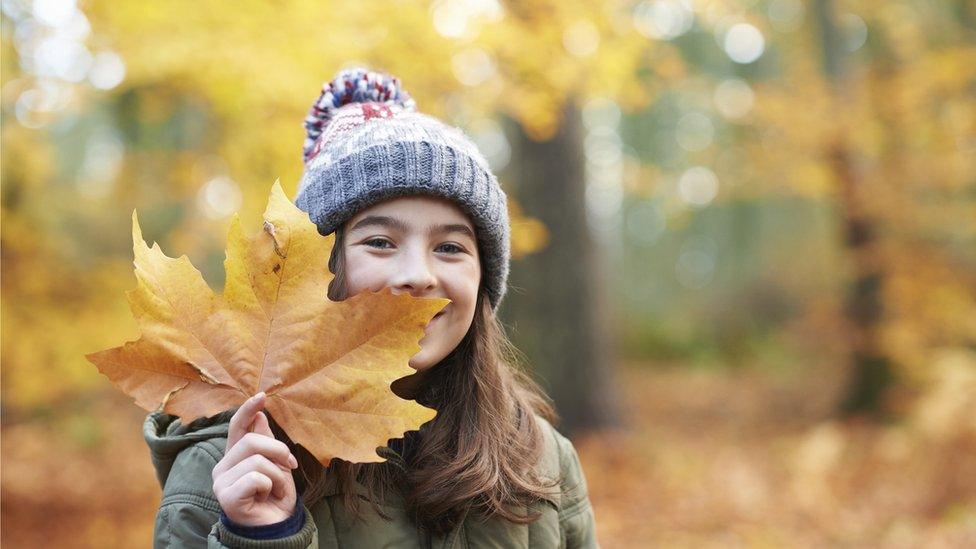 Child-lifting-leaves-in-the-park.