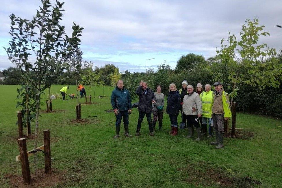 Volunteers with the trees before they were destoryed