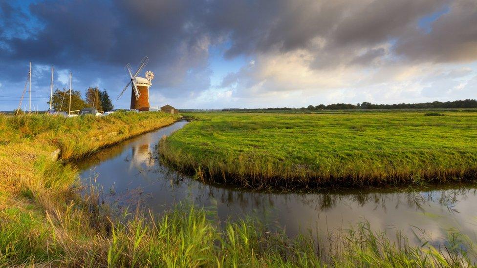 Horsey Mill, Broads National Park