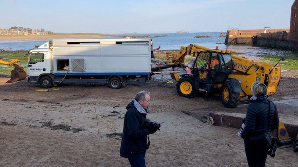 Minke whale being removed from North Berwick beach