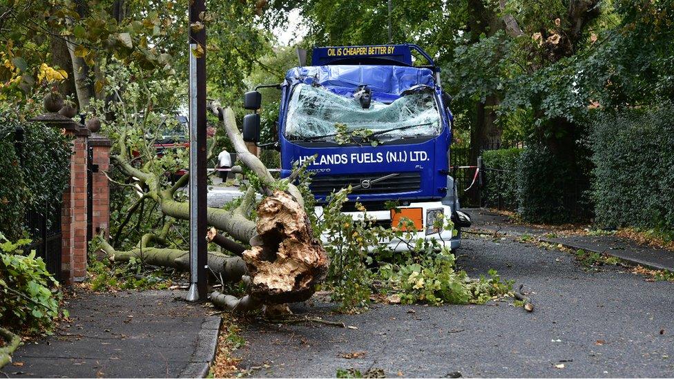 A tree fell on an oil tanker off Belfast's Lisburn Road