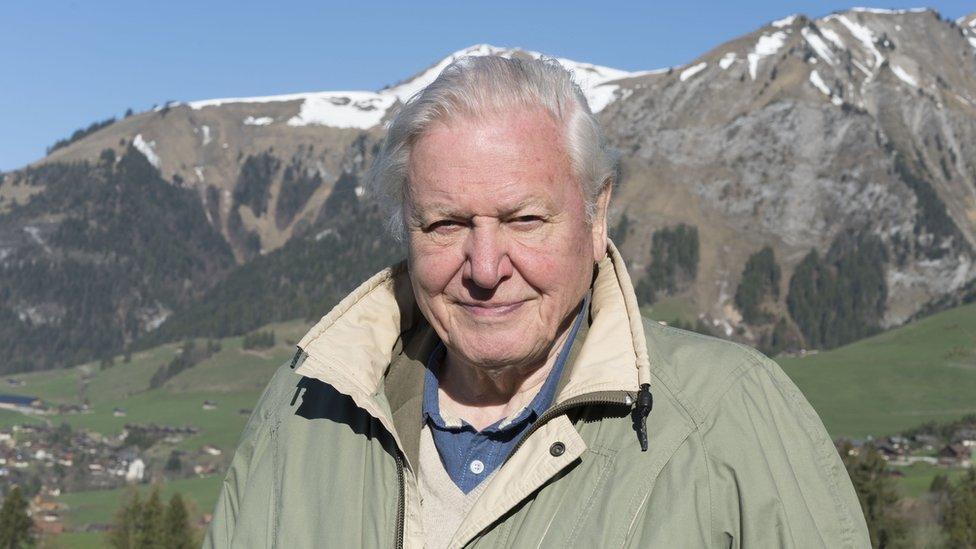 Sir David Attenborough