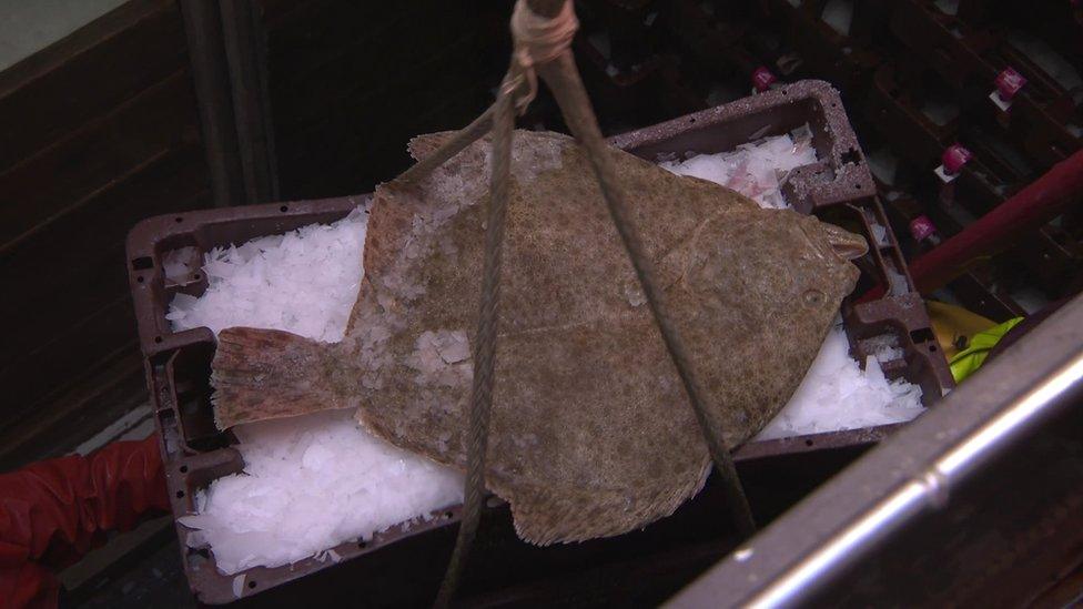 The Irish fishermen who landed this catch last week say they won't be deterred