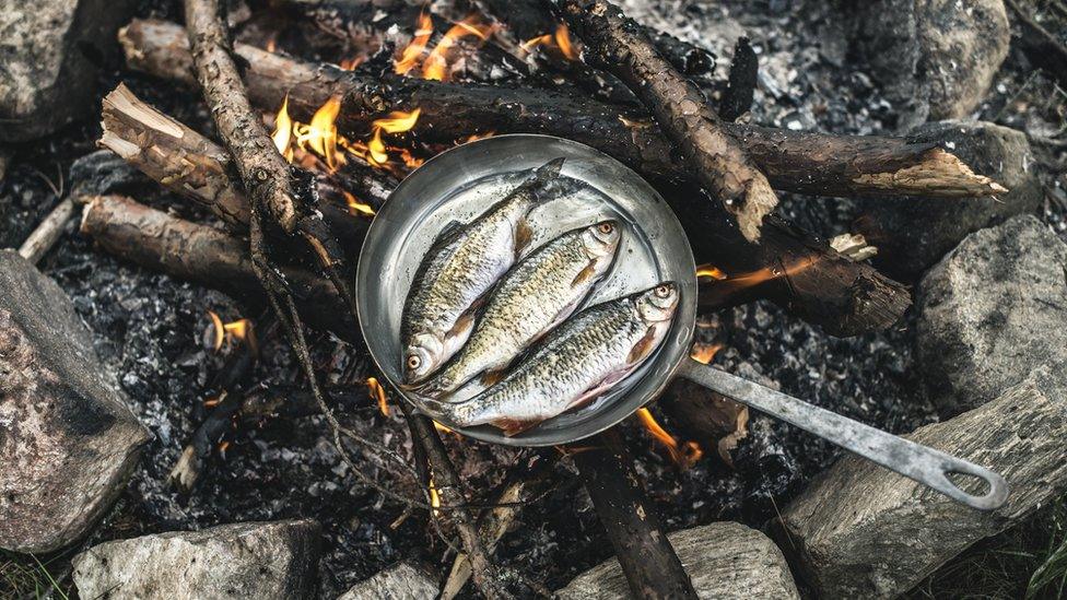 fish cooking over a fire