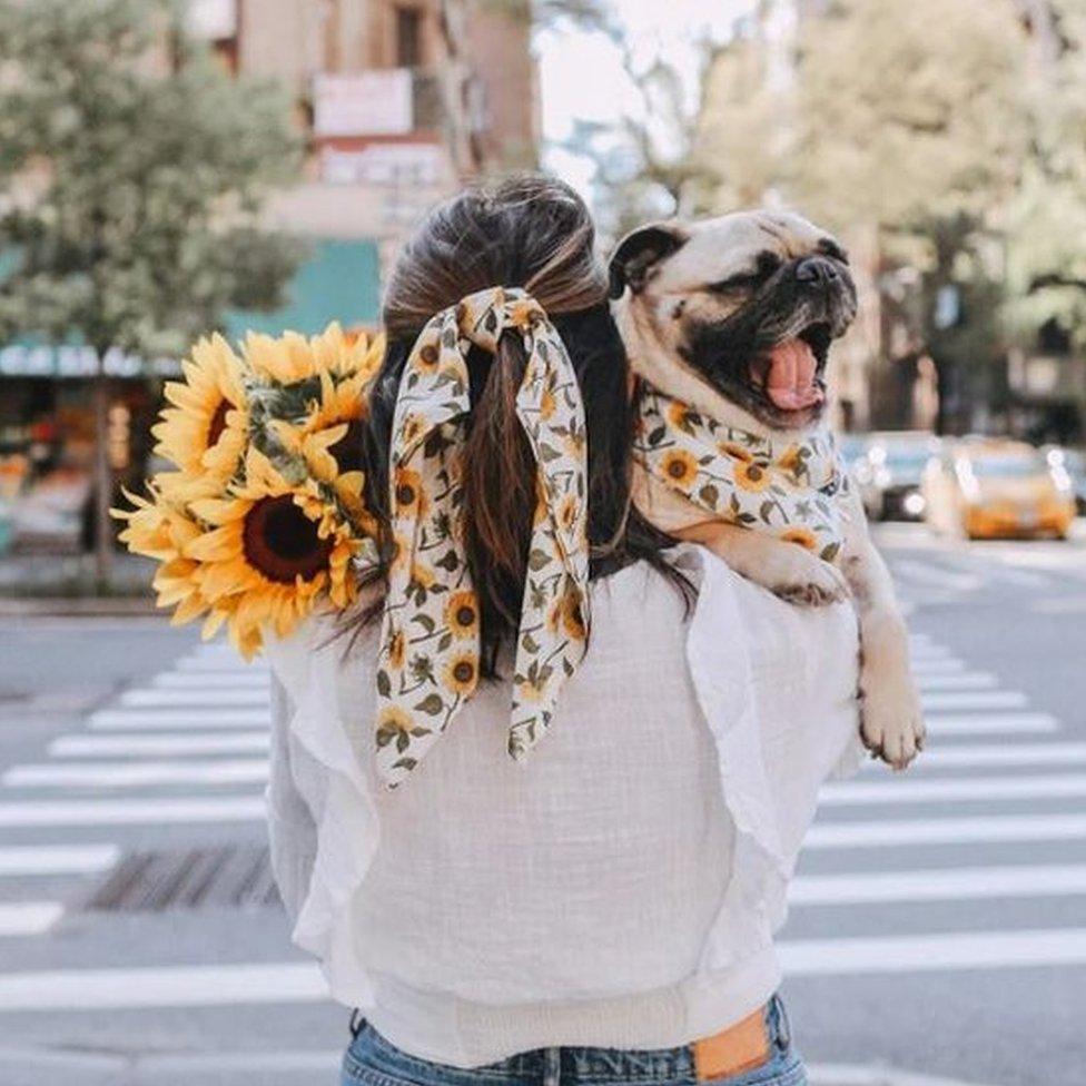 Maitri Mody matching with her pug