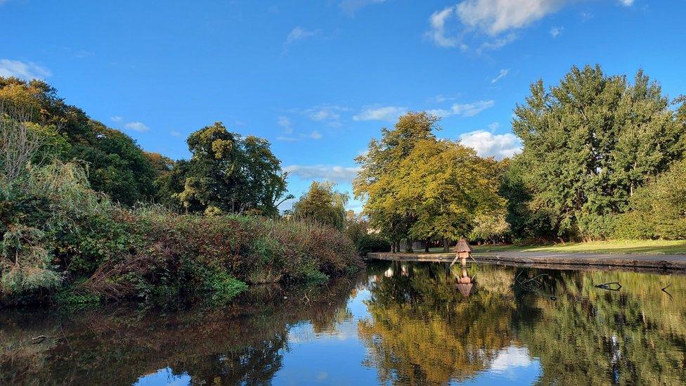 Leaves of trees turning to autumn colours in Ward Park in Bangor