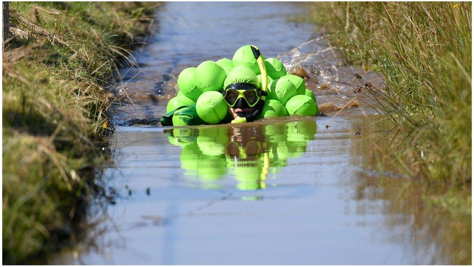 bog-snorkelling-competitor.