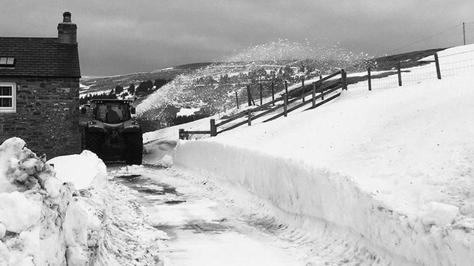 A deep path leads up to a house where a snow blower is working its magic