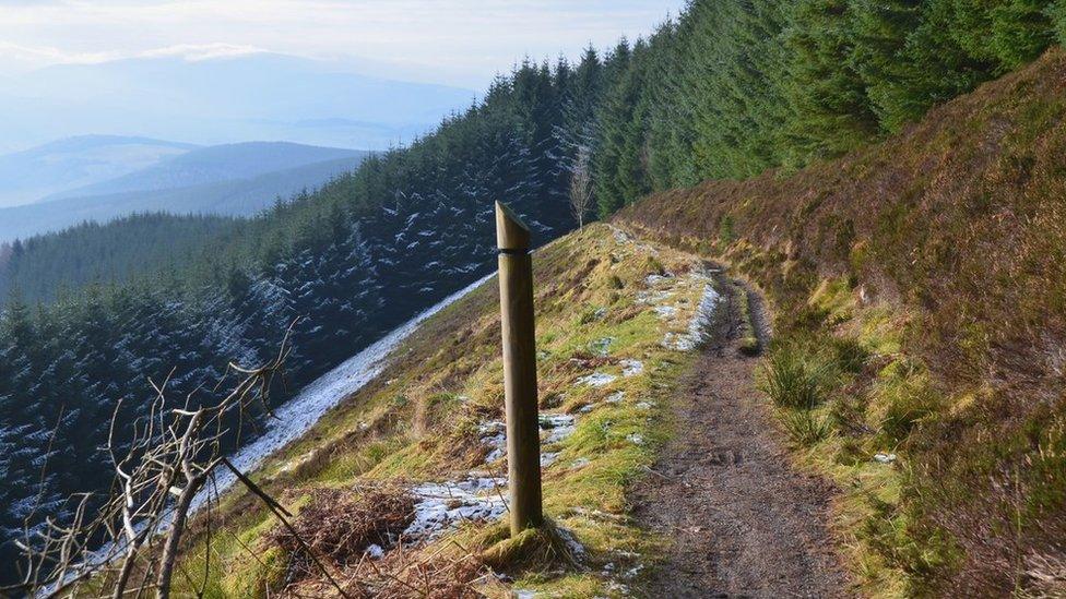 Glentress trail