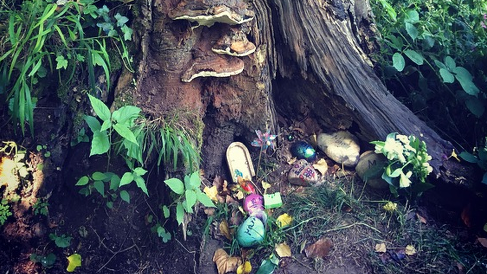 A miniature door and decorations at the base of a tree in Withybush Woods