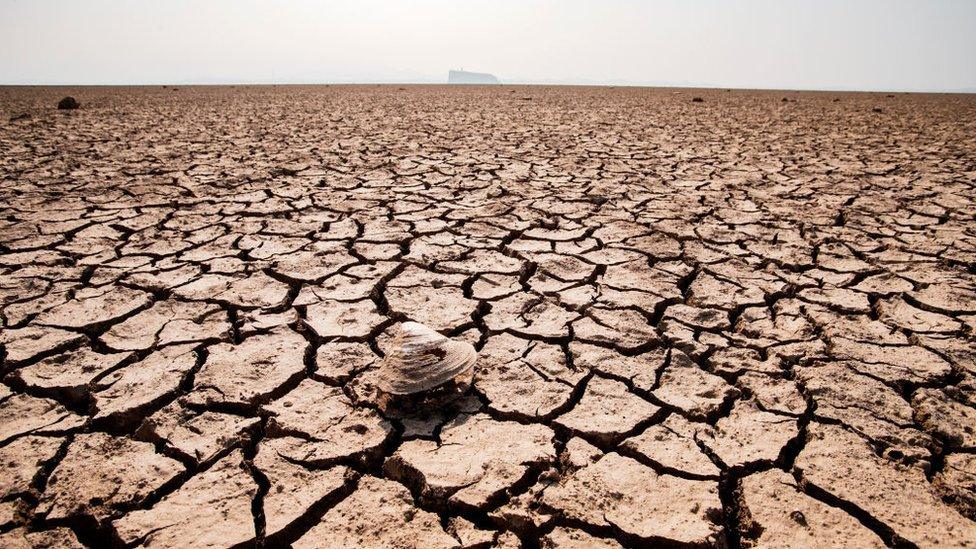 Dried-up lake bed