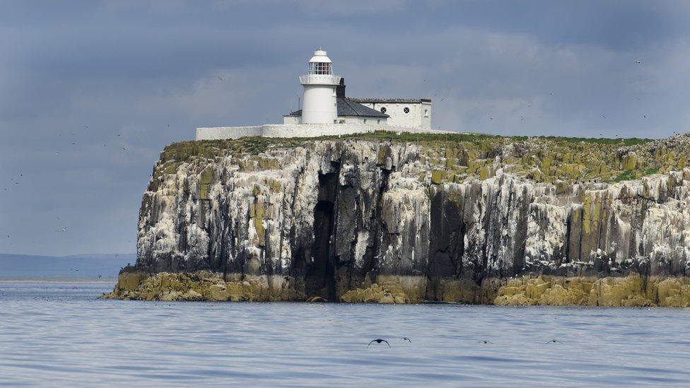 Farne Islands