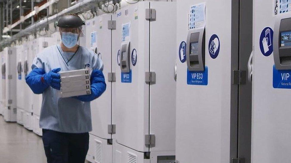 A worker passes a line of freezers holding coronavirus disease (COVID-19) vaccine candidate BNT162b2 at a Pfizer facility in Puurs, Belgium in an undated photograph.