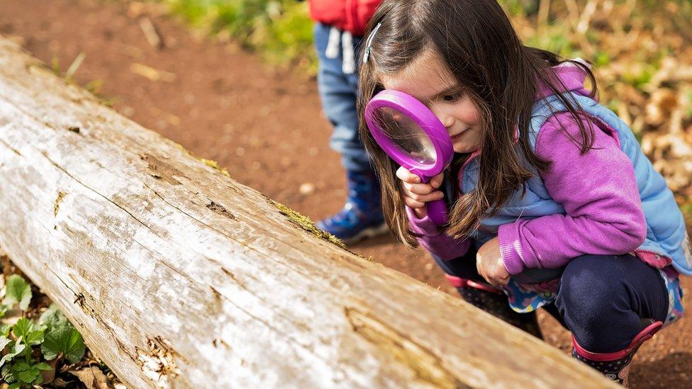 Nature Friendly Schools