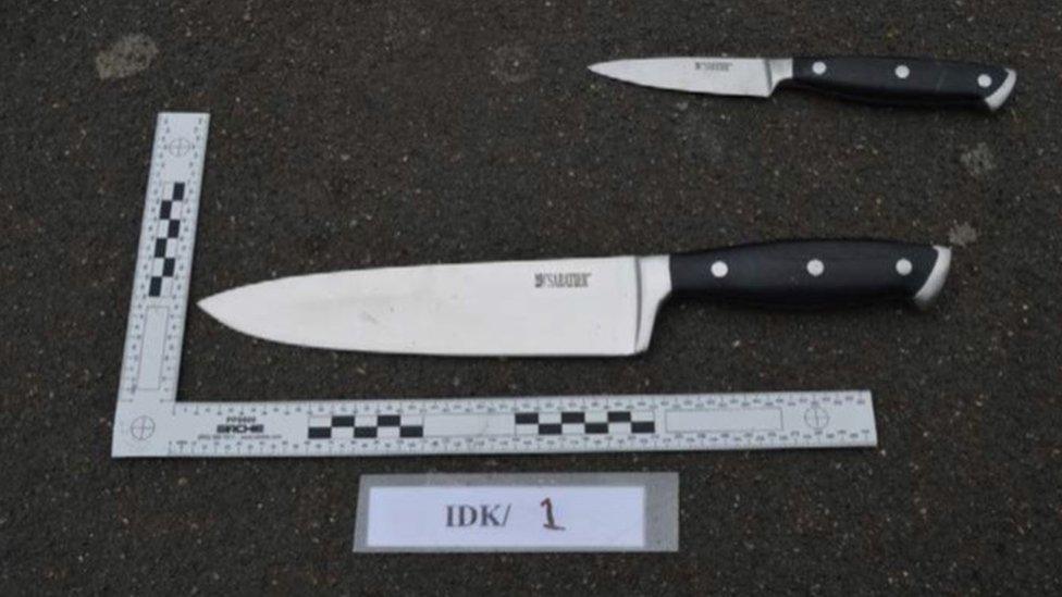 Two of the knives found on arrest