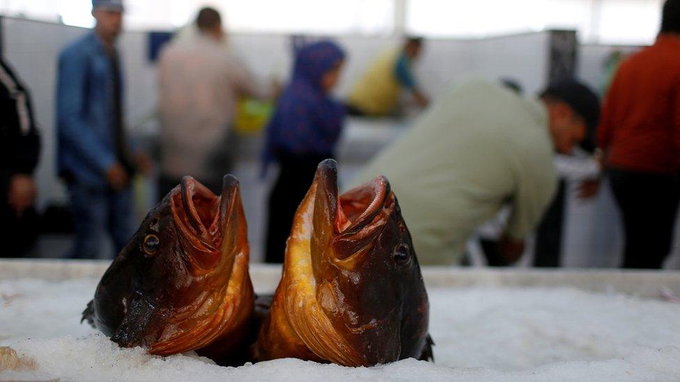 Libyan walks at the fish market in Tripoli, Libya November 3, 2017