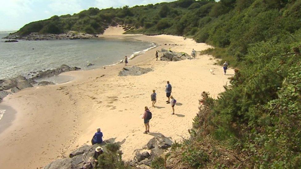 The beach at Borth y Gest