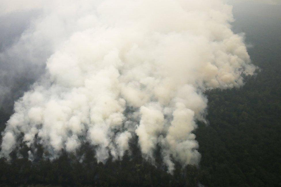 An aerial view of smoke rising from a burning forest at Ogan Komering Ulu area in Indonesia's south Sumatra province September 10, 2015