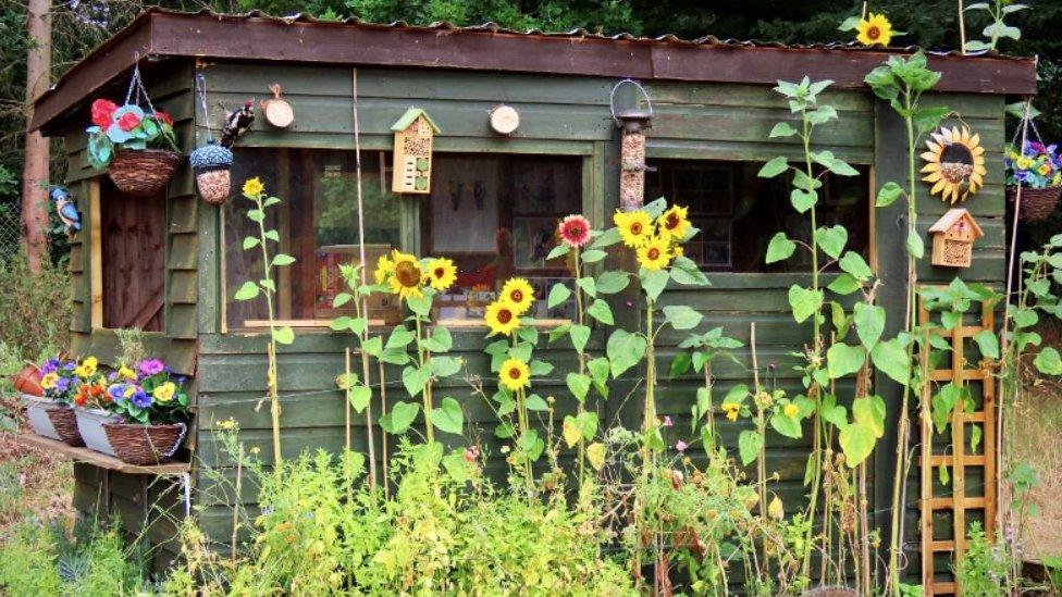 A hide in the countryside