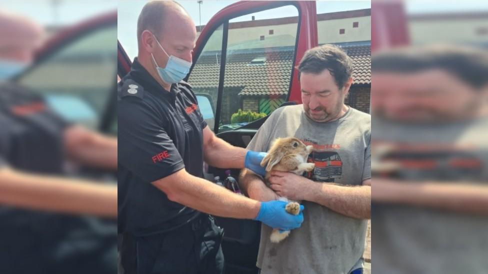 Mark Hyde with his pet rabbit