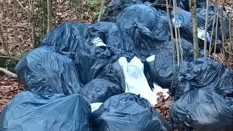 Dustbin bags fly-tipped in woodland