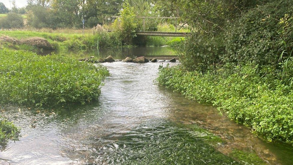 River Pang riverfly sampling site