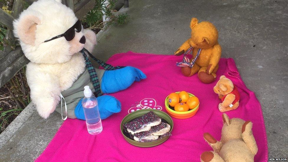 Chester the teddy bear having a picnic