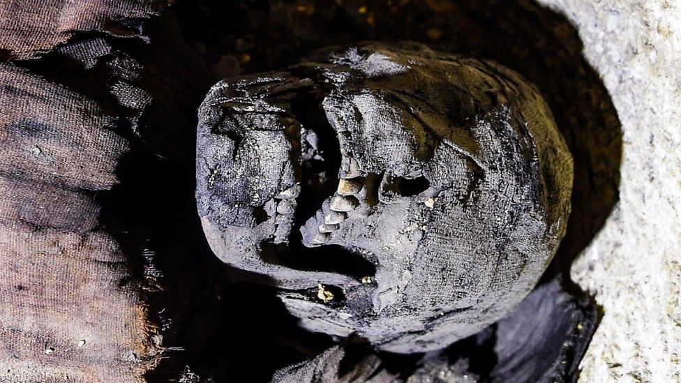 partially uncovered skull of a mummy found in Minya