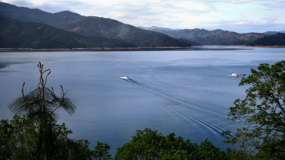 Lake Shasta