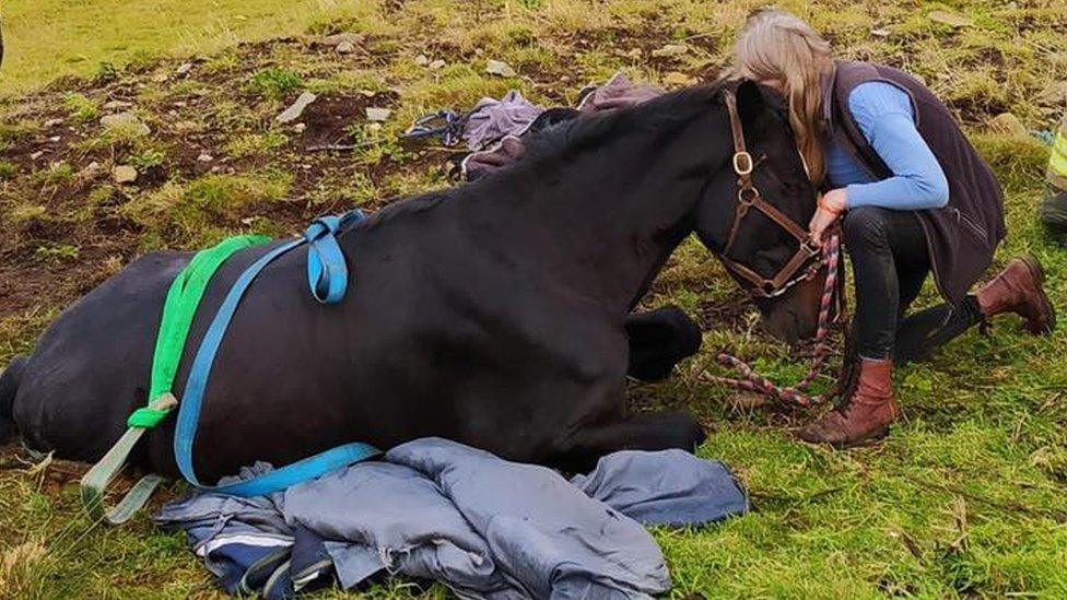 Nikki Veen with her horse O'Malley