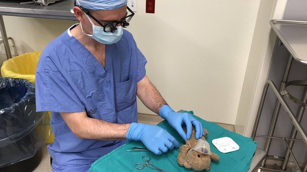 Dr Daniel McNeely performing life-saving surgery on a teddy bear