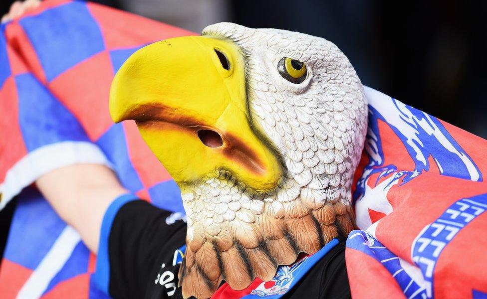 A Crystal Palace fan wears an eagle mask during the Barclays Premier League match between Crystal Palace and Manchester City at Selhurst Park on April 27, 2014