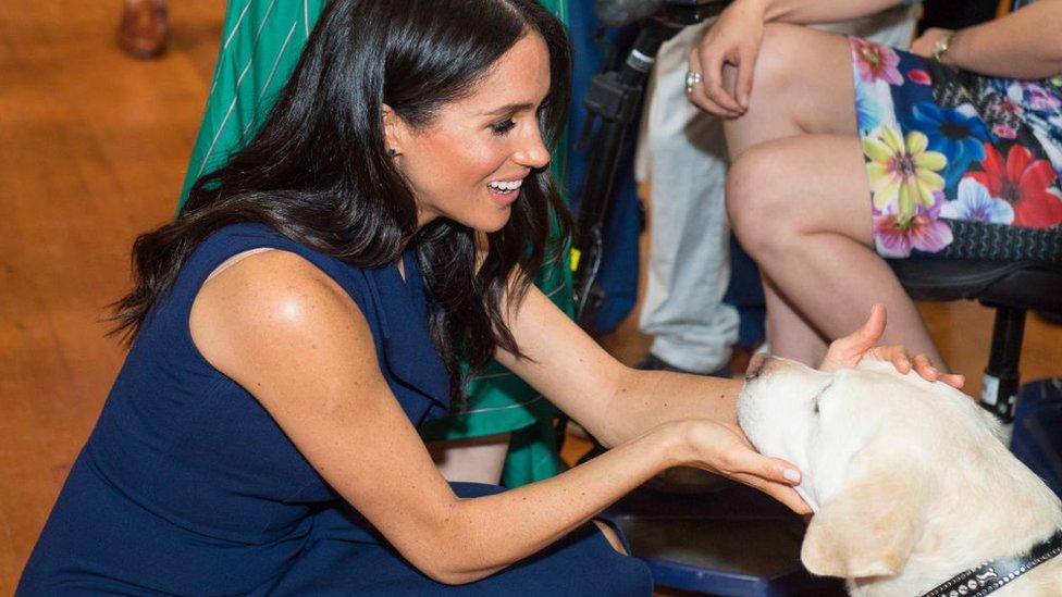 Meghan with a labrador