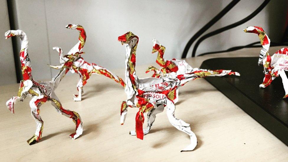 Wrapper Raptors