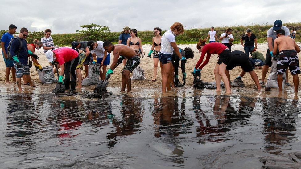 Volunteers clearing up oil off a Brazilian beach