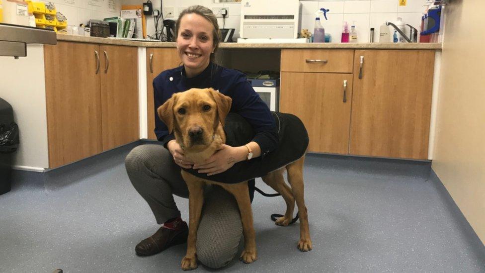 Buck with vet Laura Pearce