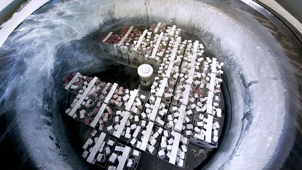 Eggs and embryos can be gathered and frozen in deep freezes using liquid nitrogen