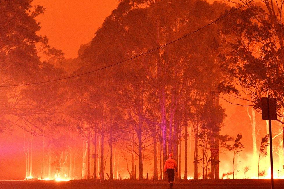 A firefighter walks past burning trees