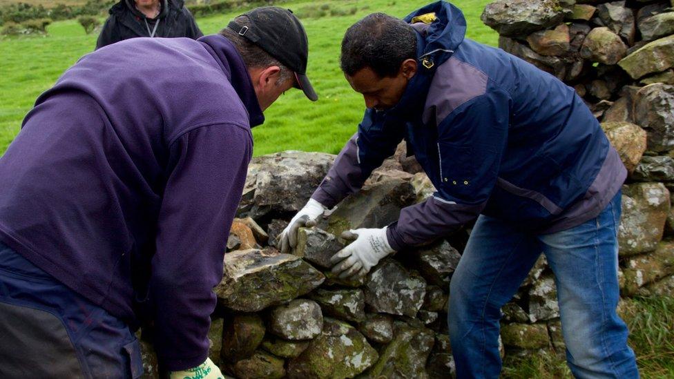 Volunteers working on a dry-stone wall in the Mournes