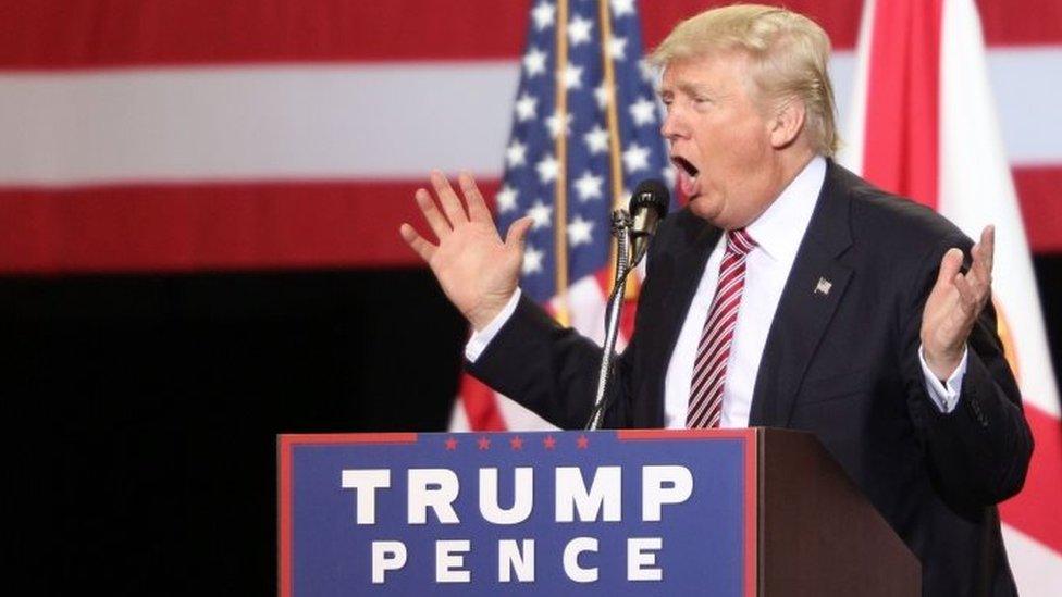 Donald Trump addresses a campaign rally in Kissimmee, Florida. Photo: 11 August 2016