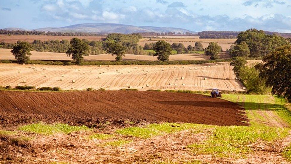 Farm in Tweed Valley