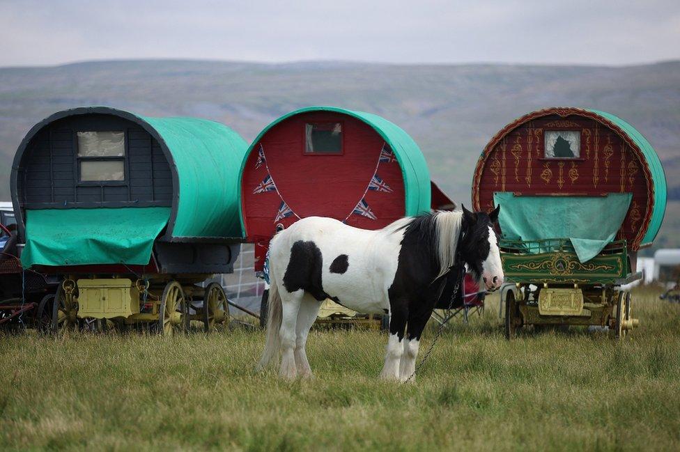 A horse stands in front of traditional Romany caravans