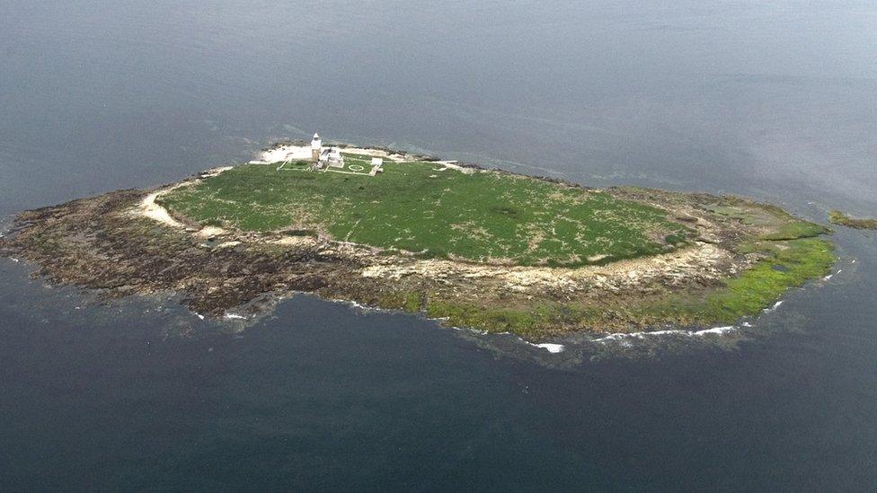 Coquet Island