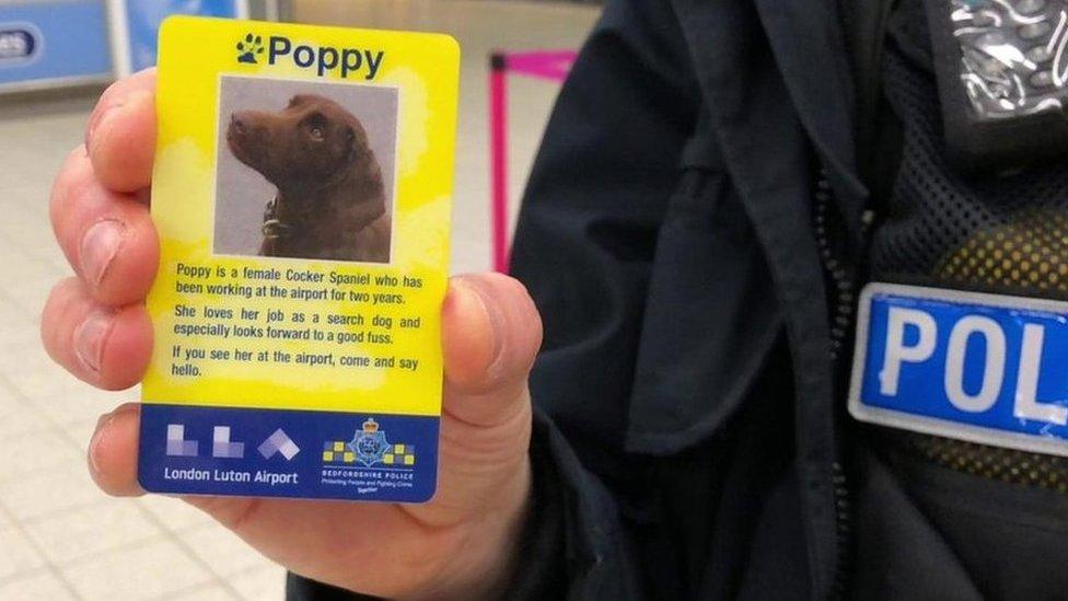 Police dog ID card