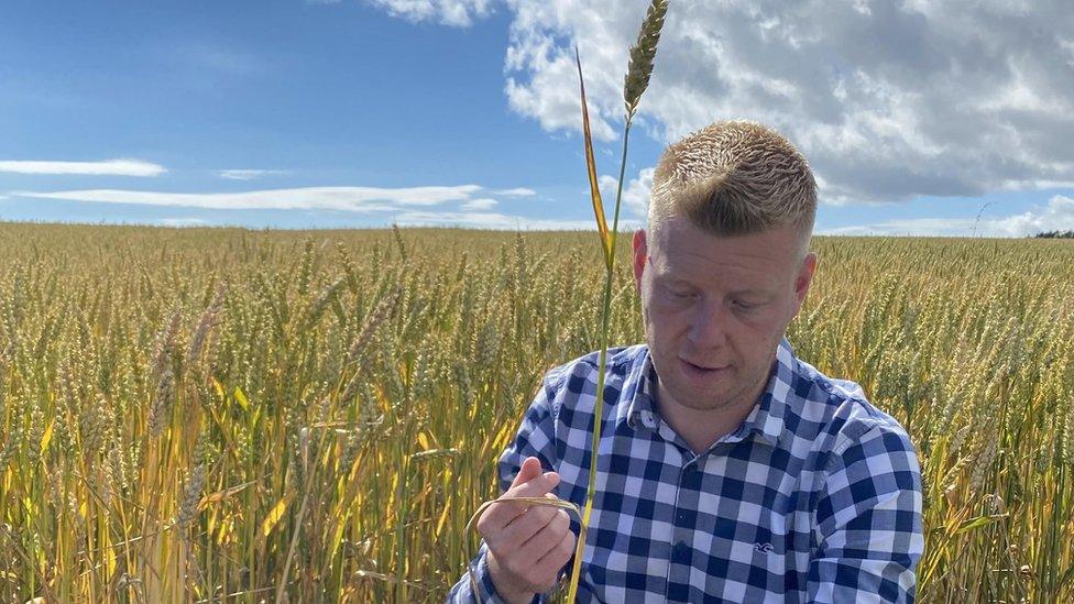 Tom Rees of Dudwell Farm