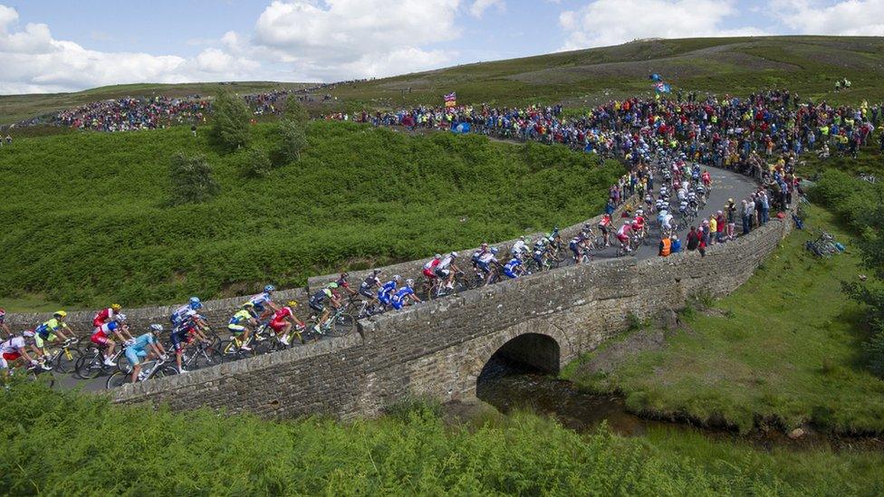 Cycling race peloton