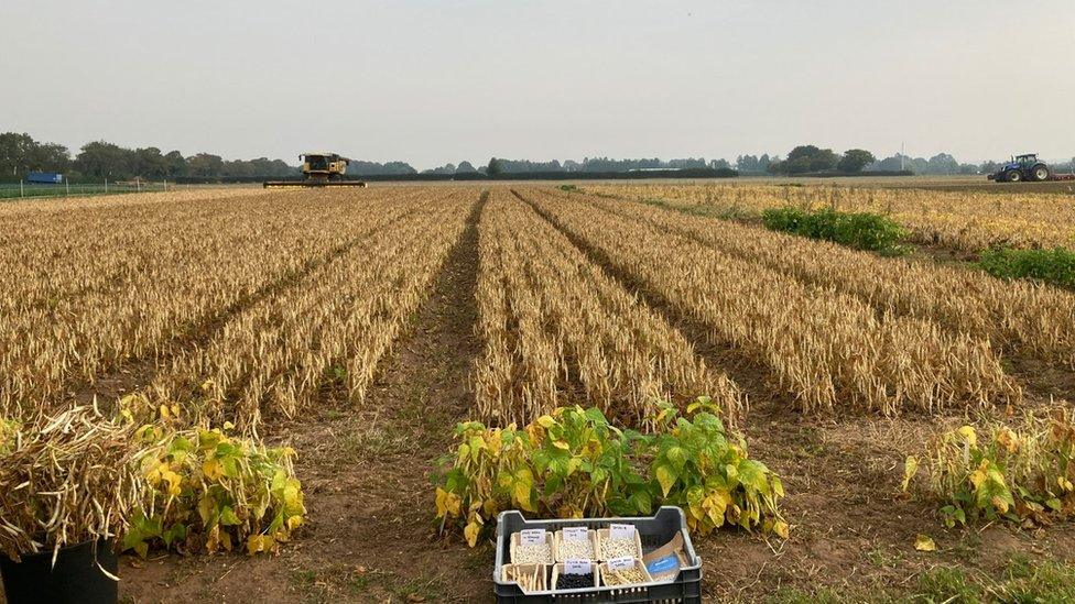 Site in Wellesbourne