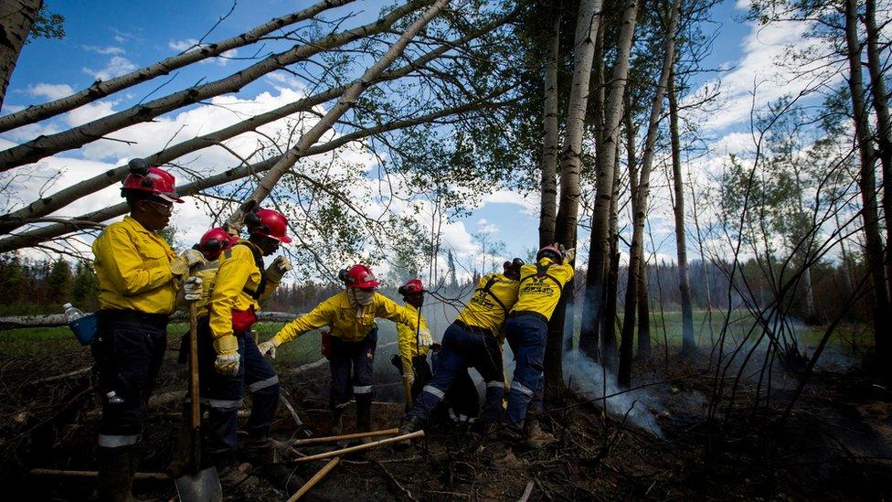 Firefighters and support stuff work to clear burned trees